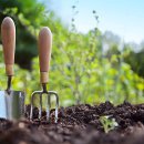[국비지원] 조경기능사 필기 이미지
