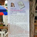 [강원도 폭포, 계곡 여행] 7. 정선의 맛집, 아우라지 강가 옥산장 아주머니의 수석&amp;곤드레 밥 맛있어요!