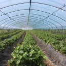 친환경까치마을 이미지