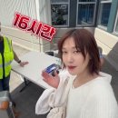 알라스카 크루즈 ~(7박8일 105만원 시작) 이미지