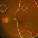 종업농장 이미지