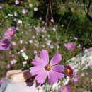 장안우동 이미지