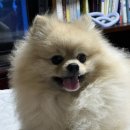 방배중앙로15길 6 이미지