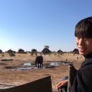 코끼리캠핑장 이미지