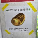 in March 2