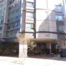 분당-239 이미지