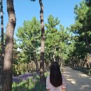 함현공원 이미지