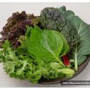 (주)에이치에스식자재도매유통 | 식당 운영자들이 선택한 이유, (주)더드림앤드림 식자재 이용 후기