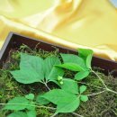 영광수지 이미지