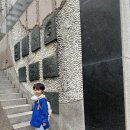 적성도서관 | [서울] 아이와함께가볼만한곳, 서대문자연사박물관/ 2번째 방문 후기