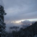 힐링숲민박 이미지