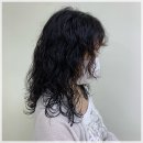 메이에르 이미지