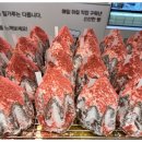 오로지애월 이미지