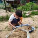 참자연 어린이집 이미지