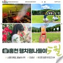 행치령