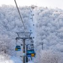 발왕산 관광케이블카 코스 이미지