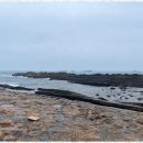 도원사 | 본오동사주 마음의 안식을 찾을 수 있는 곳, 도원사 후기