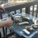 통나무수영장펜션