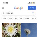 러브엔프리 이미지