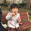 고남농장 이미지