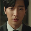 누이브루