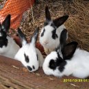 비학농장 이미지