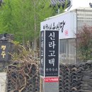 신라고택 | 경주 황리단길 숙소 신라고택 내돈내산 가성비1박 후기