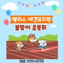 웰리스 동물병원 | [중계동 동물병원] 웰리스 친구들 총출동! 웰리스 애견유치원 신나는 운동회!