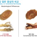 웰너스코리아 주식회사