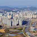 도안동로 이미지