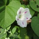 밀키웨이 이미지