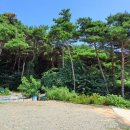 난지도소나무펜션 이미지