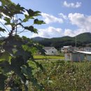 강상공인중개사사무소 이미지