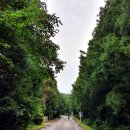 충혼각 화장실 이미지