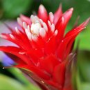 엔젤 식물원 이미지