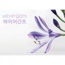 바이어간츠코리아 이미지