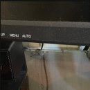 피오나모텔 이미지