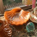 King조개 이미지