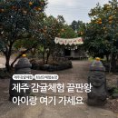 게임존 | 📍 제주 아이와 가볼만한곳 | 감귤체험부터 모노레일까지 되는 최남단체험농장 솔직후기