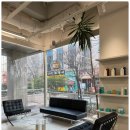 정자일로232번길 이미지