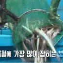 용남장어숯불구이 이미지