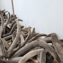 안심부부한의원 이미지