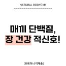바디짐 이미지