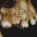 키즈프라임치과의원 이미지