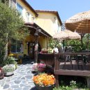 그리운보리밥 이미지