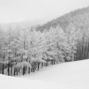 번개목장 이미지