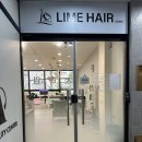 라임헤어 이미지