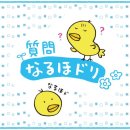 제로 클릭 서치? 넷 검색, AI가 요약. 인용 출처 사이트 방문 없이. 이미지