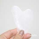 림프랩 네이버블로그