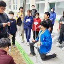 해제남초등학교 이미지